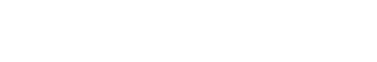 Grupo Guía